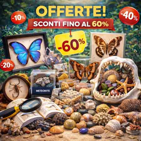 Offerte e Sconti fino al 60%